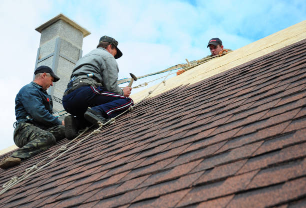 Roof Installation Near Me in Cambrian Park, CA